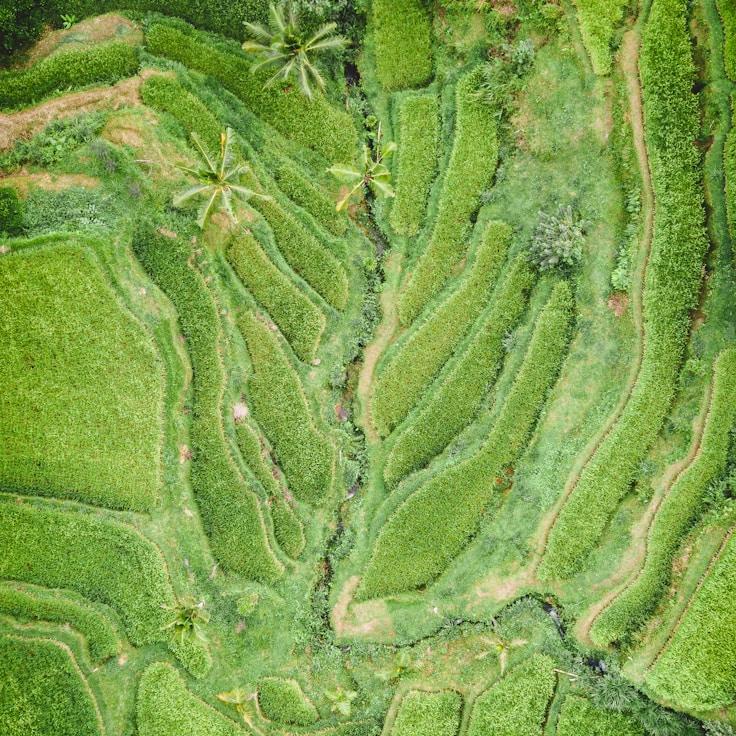 Entertainment zone at night in Italy